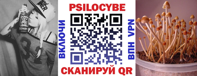 Купить  Уяр  Галлюциногенные грибы прущие грибы 